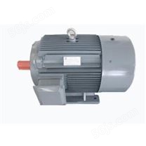 型号 YT-315L-1000/110KW高低压开关用永磁同步电机