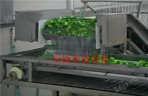 蔬菜清洗机