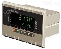 CS6工业控制仪表